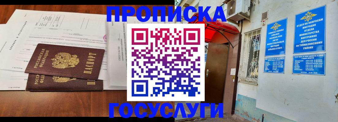 прописка в квартире в Ленинградской области